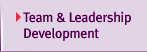 Team and leaddership development